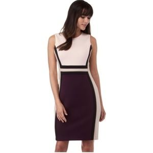 Calvin Klein Color Block Dress